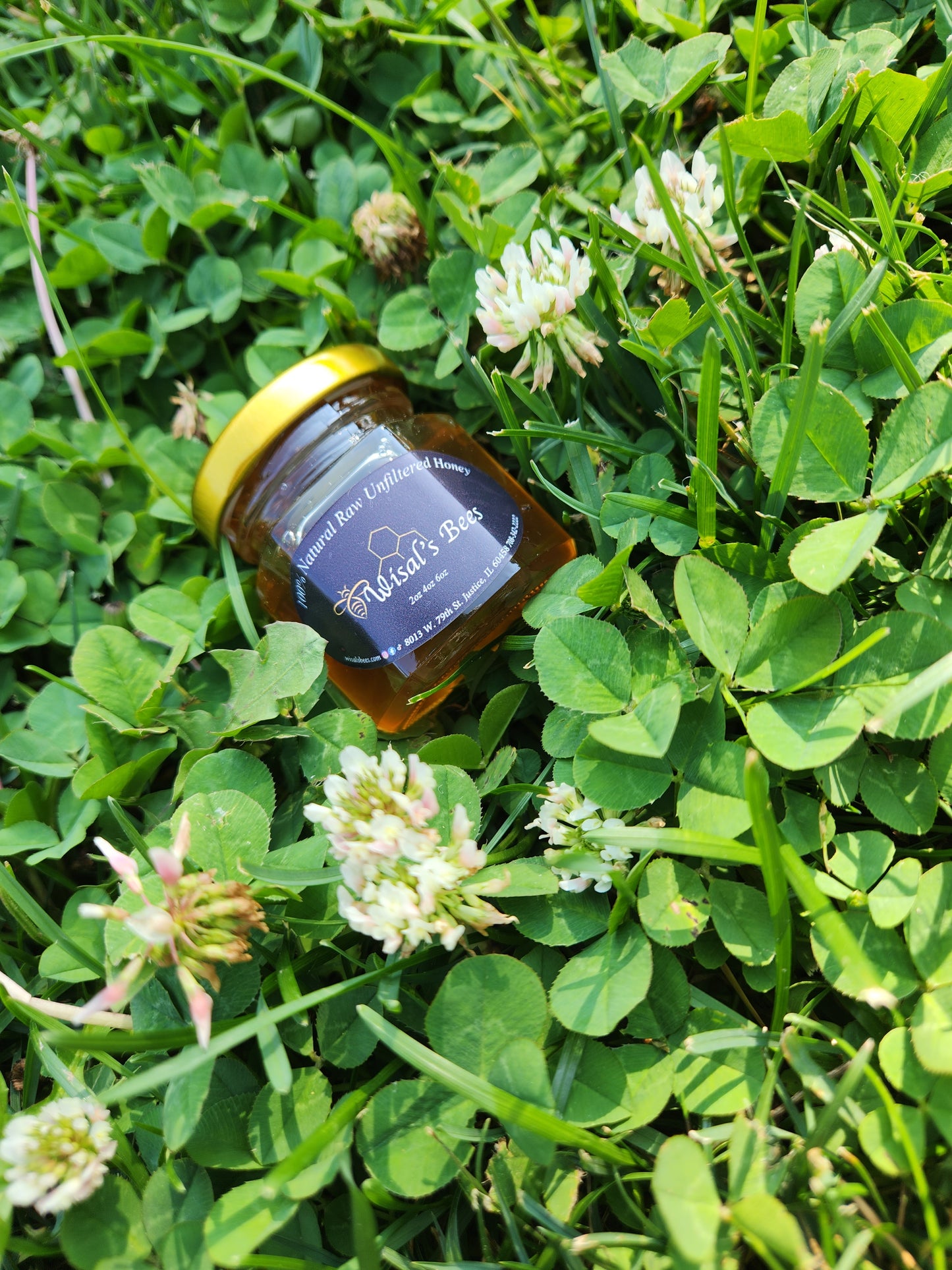 Gift Jars {50 honey jars}