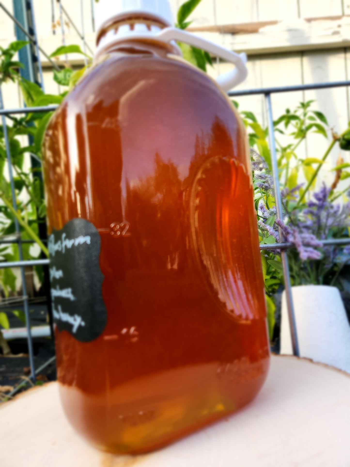 A Glass Jar of Wisal's  Pure Goodness
