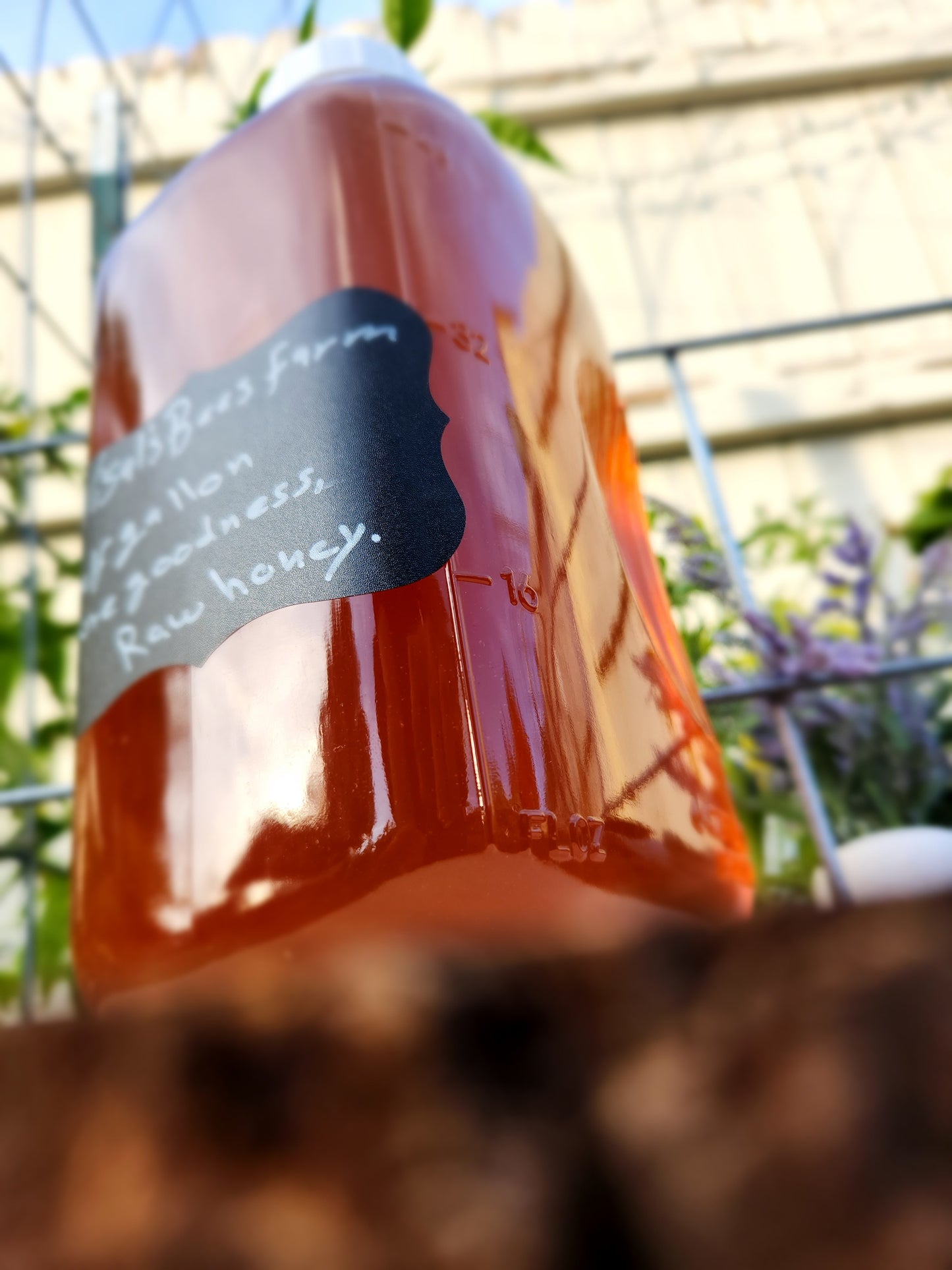 A Glass Jar of Wisal's  Pure Goodness