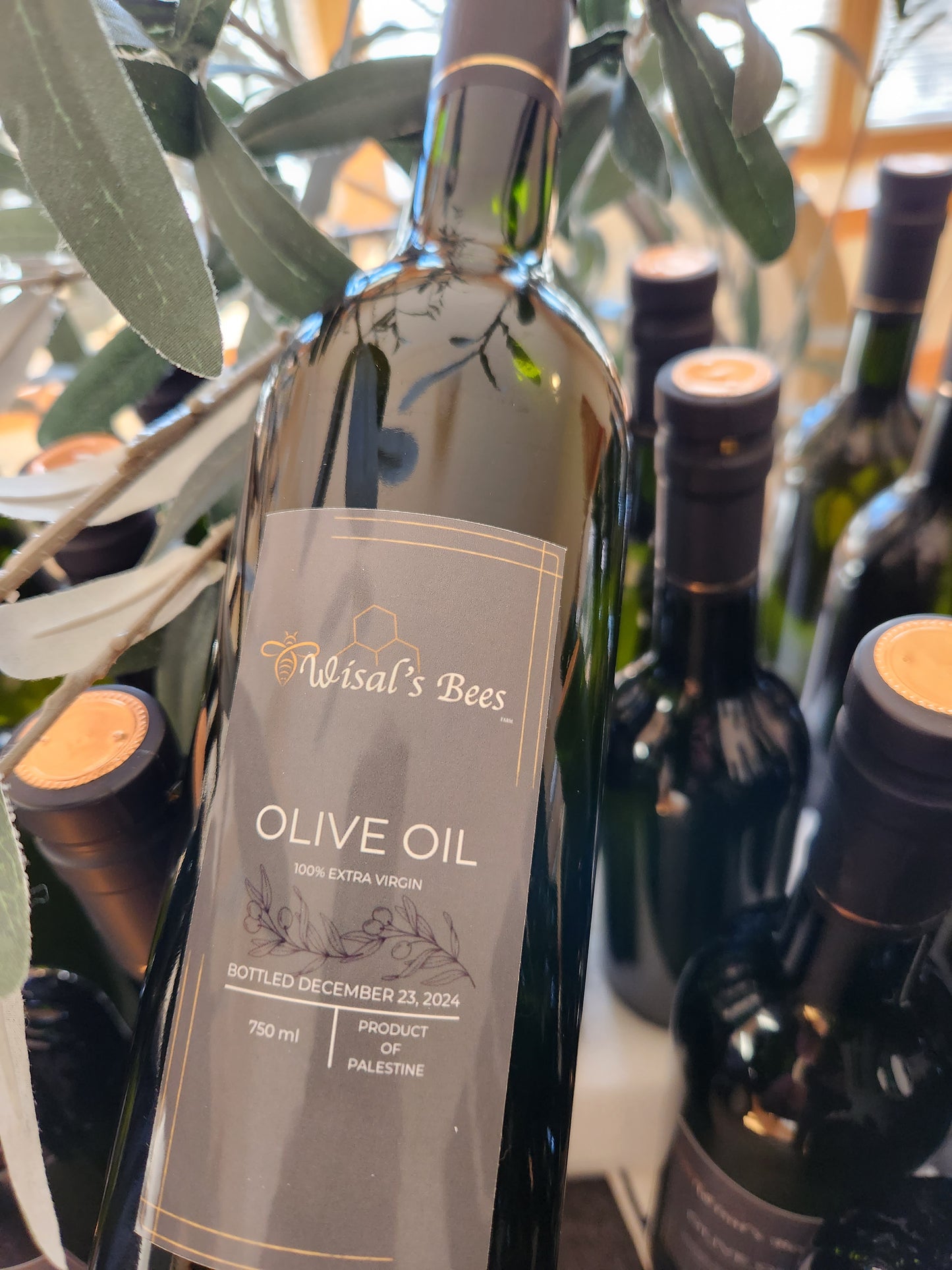 Olive oil. out of stock. fresh squeezed coming in December from Palestine
