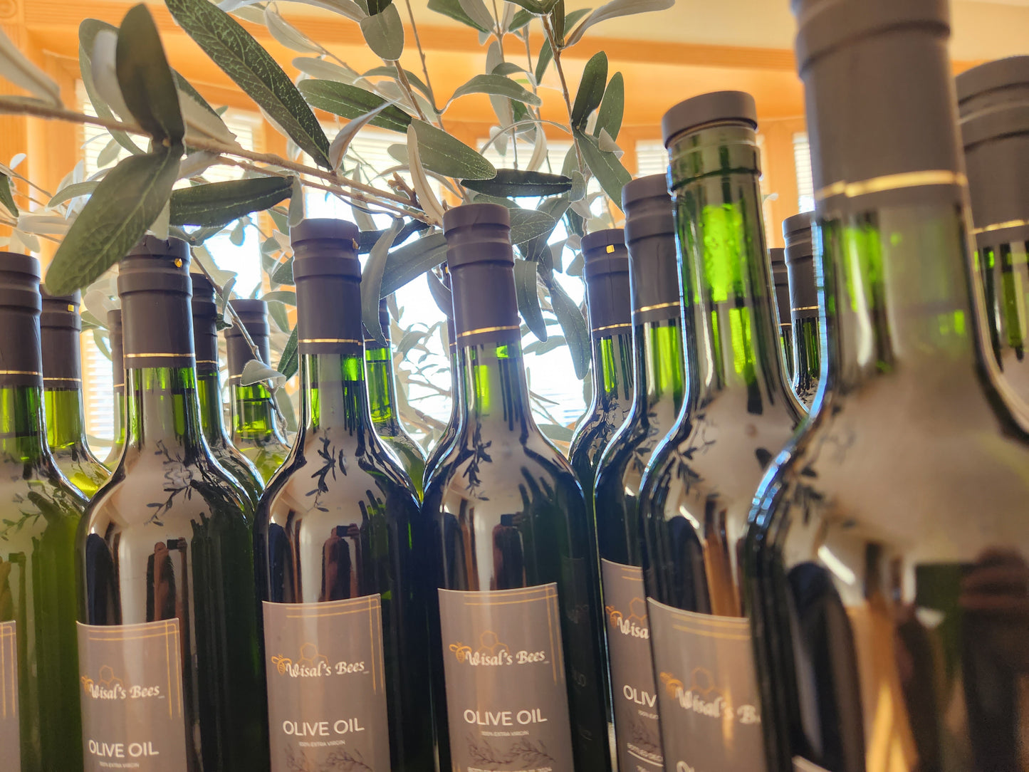 Olive oil. out of stock. fresh squeezed coming in December from Palestine