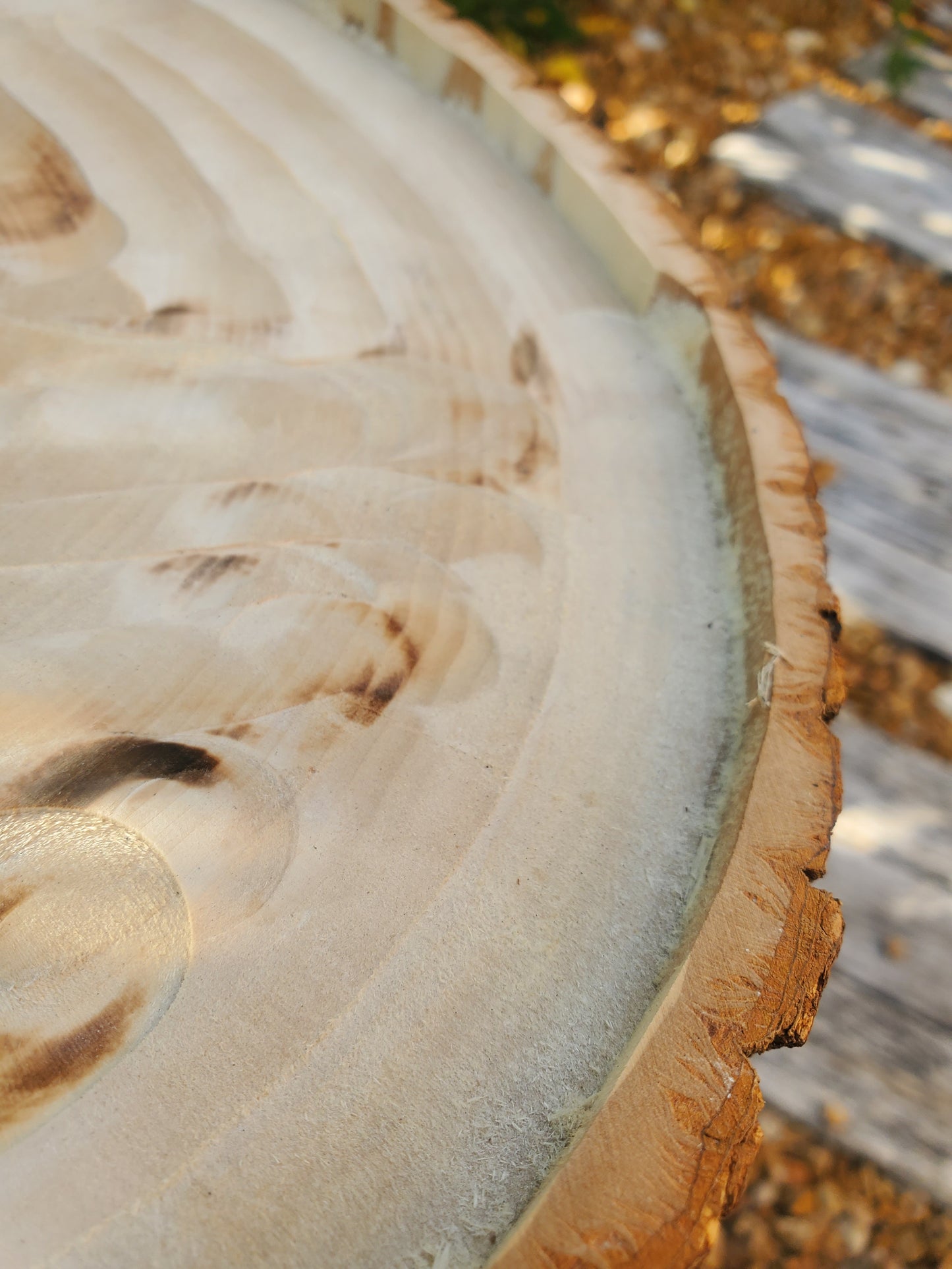 Tree stump display stand