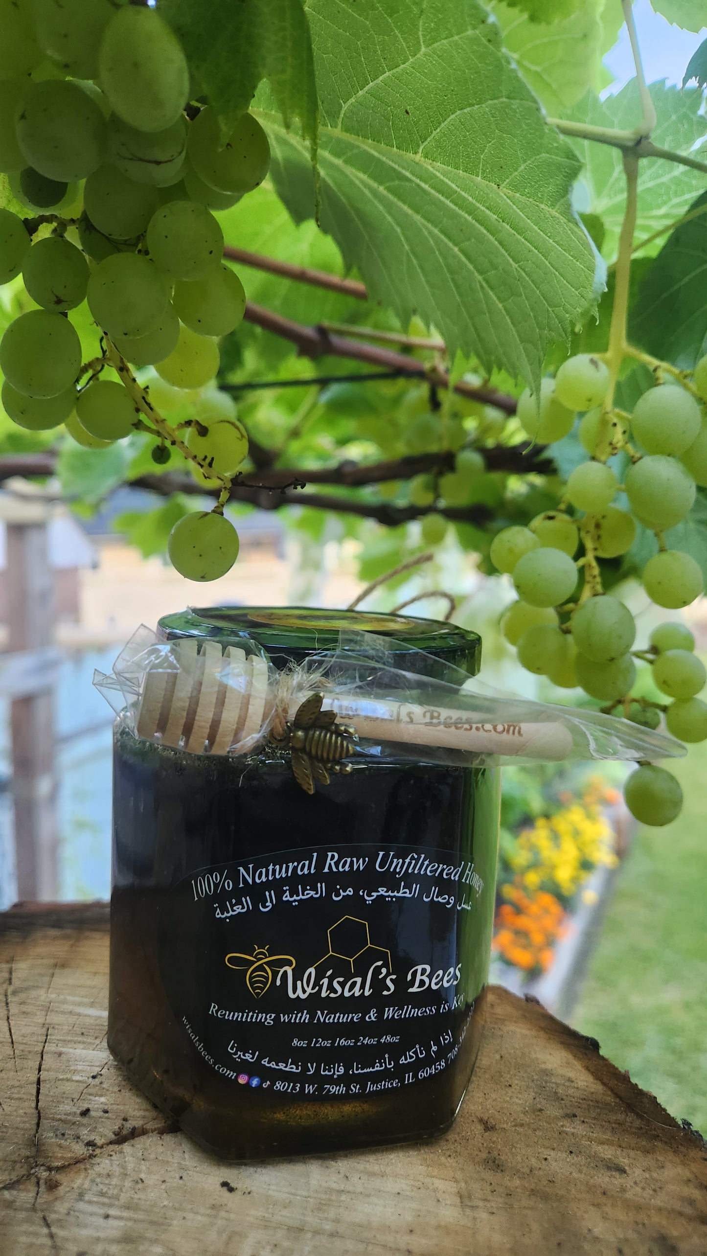 Blackseed honey عسل حبة البركة